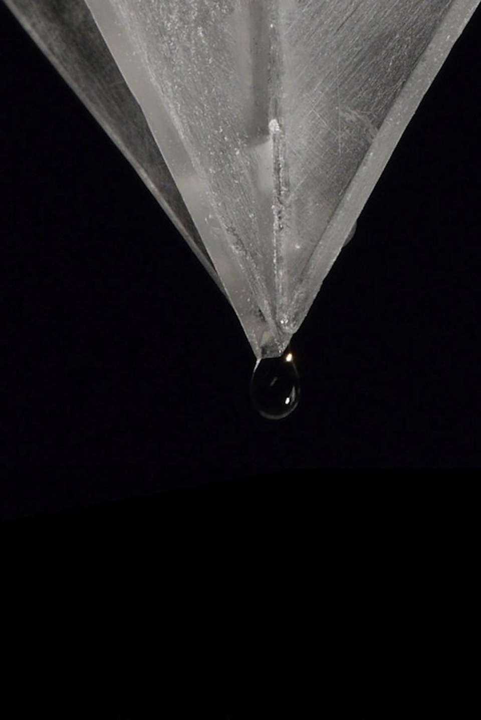 Random by Nature gallery image